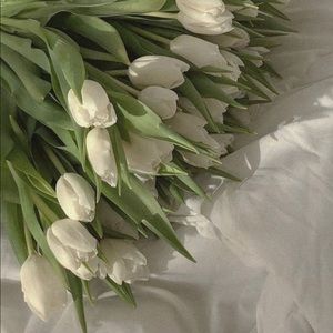 Meet your Posher, Sienna